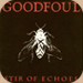 Goodfoul Stir of echoes (0)