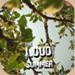 Rubiano The Loud Summer (2011)