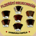 Plzenští heligonkáři Vyhrávala kapela (2012)